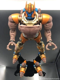 Infinite Transformation IT-02 Masterpiece MP-41 Dinobot Beast War -Action Figures Store 336c7c592f