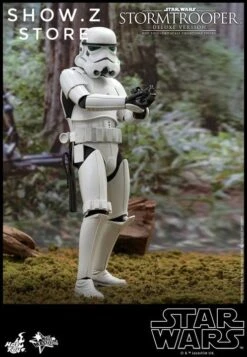 Hot Toys HT 1/6 Stormtrooper Storm Trooper MMS514 Star Wars Standard Version -Action Figures Store beb3ee9e18