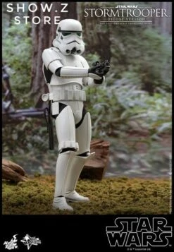 Hot Toys 1/6 Stormtrooper Storm Trooper MMS515 Star Wars Deluxe Version -Action Figures Store cbf58be6a8